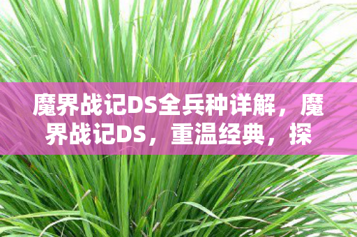 魔界战记DS全兵种详解,魔界战记DS,重温经典,探索未知 魔界战记DS全兵种详解,魔界战记DS,重温经典,探索未知