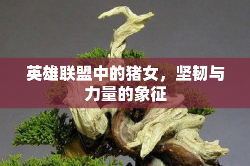 英雄联盟中的猪女，坚韧与力量的象征