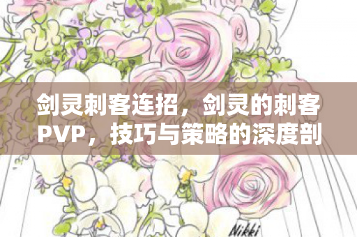 剑灵刺客连招,剑灵的刺客PVP,技巧与策略的深度剖析 剑灵刺客连招,剑灵的刺客PVP,技巧与策略的深度剖析