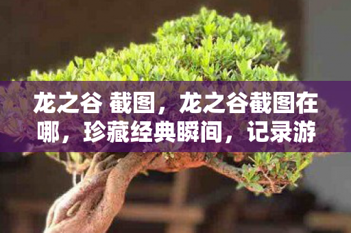 龙之谷 截图,龙之谷截图在哪,珍藏经典瞬间,记录游戏旅程 龙之谷 截图,龙之谷截图在哪,珍藏经典瞬间,记录游戏旅程