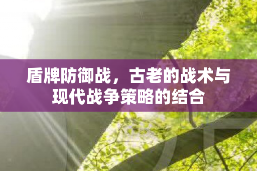 盾牌防御战,古老的战术与现代战争策略的结合 盾牌防御战,古老的战术与现代战争策略的结合