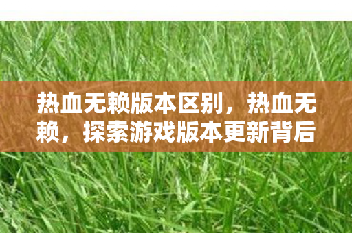 热血无赖版本区别,热血无赖,探索游戏版本更新背后的故事 热血无赖版本区别,热血无赖,探索游戏版本更新背后的故事