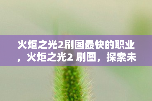 火炬之光2刷图最快的职业,火炬之光2 刷图,探索未知,挑战极限 火炬之光2刷图最快的职业,火炬之光2 刷图,探索未知,挑战极限