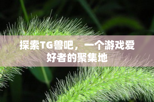 探索TG兽吧,一个游戏爱好者的聚集地 探索TG兽吧,一个游戏爱好者的聚集地