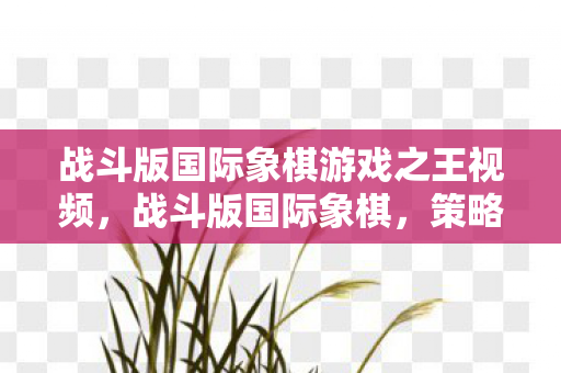 战斗版国际象棋游戏之王视频,战斗版国际象棋,策略与激情的碰撞 战斗版国际象棋游戏之王视频,战斗版国际象棋,策略与激情的碰撞