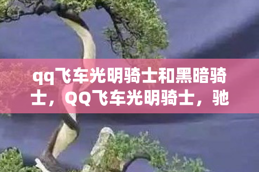qq飞车光明骑士和黑暗骑士，QQ飞车光明骑士，驰骋在虚拟世界的荣耀之旅
