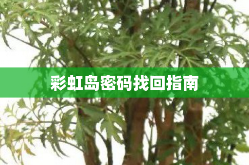 彩虹岛密码找回指南