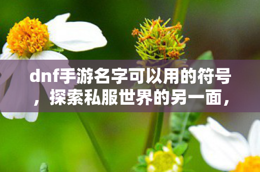dnf手游名字可以用的符号,探索私服世界的另一面,游戏文化的自由与限制 dnf手游名字可以用的符号,探索私服世界的另一面,游戏文化的自由与限制