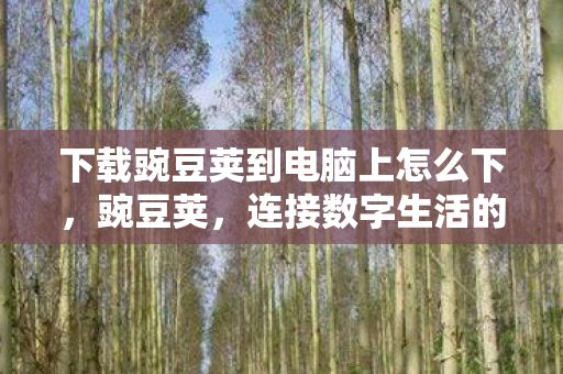 下载豌豆荚到电脑上怎么下,豌豆荚,连接数字生活的桥梁 下载豌豆荚到电脑上怎么下,豌豆荚,连接数字生活的桥梁