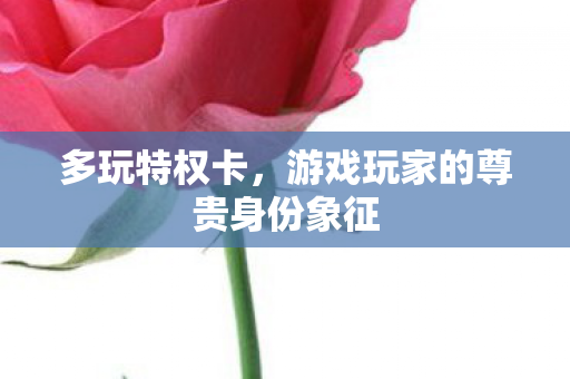 多玩特权卡，游戏玩家的尊贵身份象征