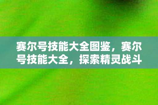赛尔号技能大全图鉴，赛尔号技能大全，探索精灵战斗的艺术