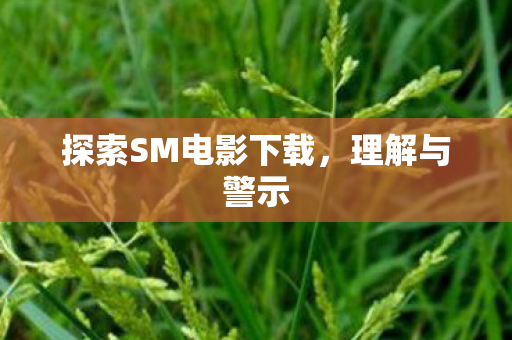 探索SM电影下载,理解与警示 探索SM电影下载,理解与警示