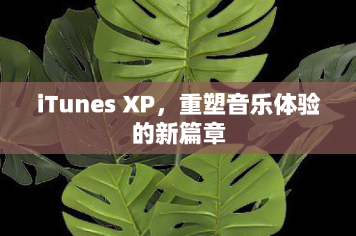 iTunes XP,重塑音乐体验的新篇章 iTunes XP,重塑音乐体验的新篇章