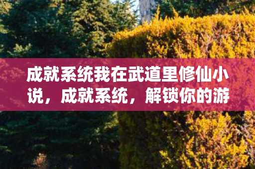 成就系统我在武道里修仙小说，成就系统，解锁你的游戏新境界