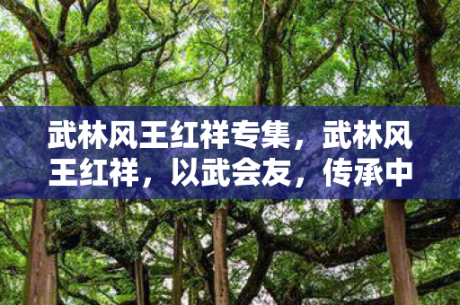 武林风王红祥专集，武林风王红祥，以武会友，传承中华武术精神