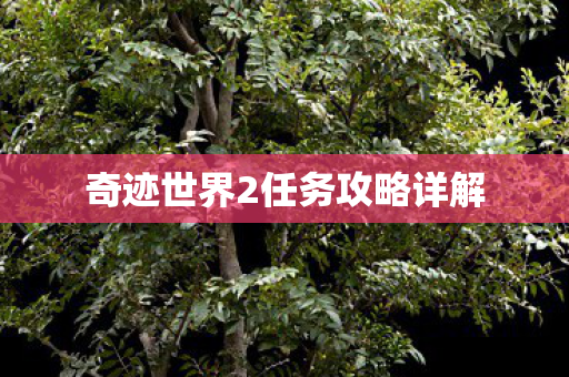 奇迹世界2任务攻略详解 奇迹世界2任务攻略详解