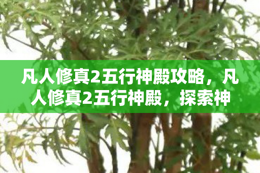 凡人修真2五行神殿攻略，凡人修真2五行神殿，探索神秘世界的奇幻之旅