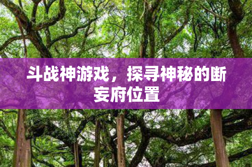 斗战神游戏，探寻神秘的断妄府位置