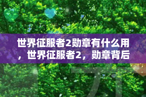 世界征服者2勋章有什么用，世界征服者2，勋章背后的荣耀与策略