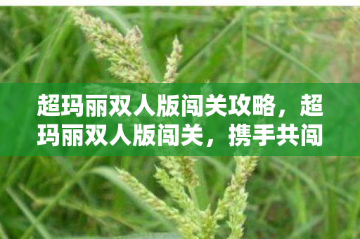 超玛丽双人版闯关攻略,超玛丽双人版闯关,携手共闯奇幻冒险之旅 超玛丽双人版闯关攻略,超玛丽双人版闯关,携手共闯奇幻冒险之旅