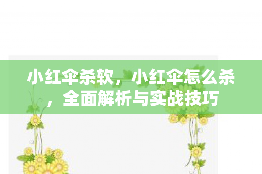 小红伞杀软，小红伞怎么杀，全面解析与实战技巧