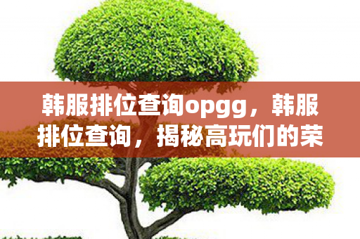 韩服排位查询opgg,韩服排位查询,揭秘高玩们的荣耀战场 韩服排位查询opgg,韩服排位查询,揭秘高玩们的荣耀战场