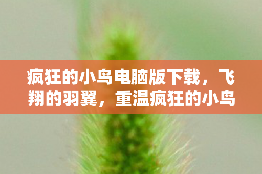 疯狂的小鸟电脑版下载，飞翔的羽翼，重温疯狂的小鸟电脑版的经典之旅