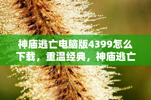 神庙逃亡电脑版4399怎么下载,重温经典,神庙逃亡电脑版4399的无限逃亡之旅 神庙逃亡电脑版4399怎么下载,重温经典,神庙逃亡电脑版4399的无限逃亡之旅