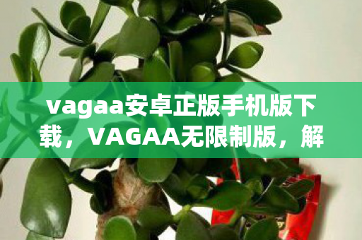 vagaa安卓正版手机版下载，VAGAA无限制版，解锁娱乐新境界