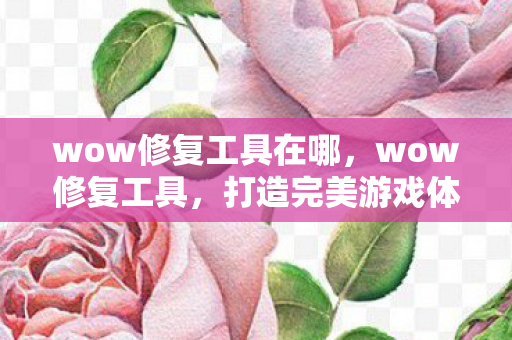 wow修复工具在哪,wow修复工具,打造完美游戏体验的必备神器 wow修复工具在哪,wow修复工具,打造完美游戏体验的必备神器