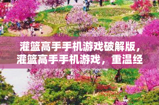 灌篮高手手机游戏破解版,灌篮高手手机游戏,重温经典,燃爆指尖的篮球梦 灌篮高手手机游戏破解版,灌篮高手手机游戏,重温经典,燃爆指尖的篮球梦