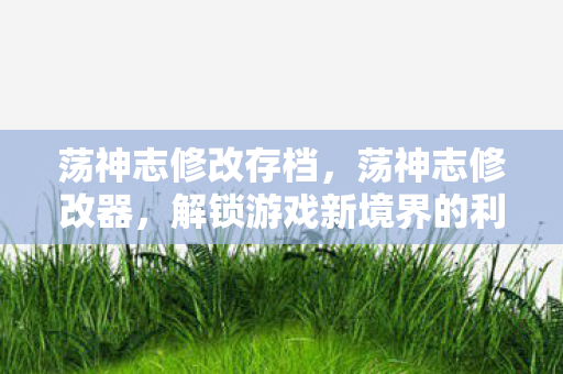 荡神志修改存档，荡神志修改器，解锁游戏新境界的利器