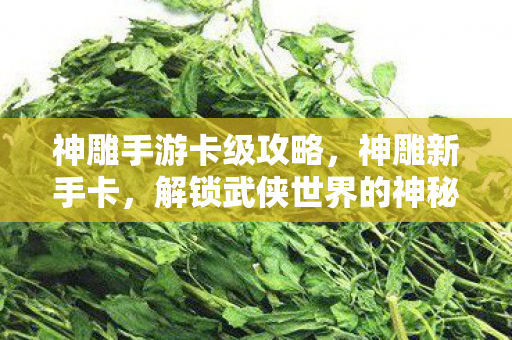 神雕手游卡级攻略,神雕新手卡,解锁武侠世界的神秘钥匙 神雕手游卡级攻略,神雕新手卡,解锁武侠世界的神秘钥匙
