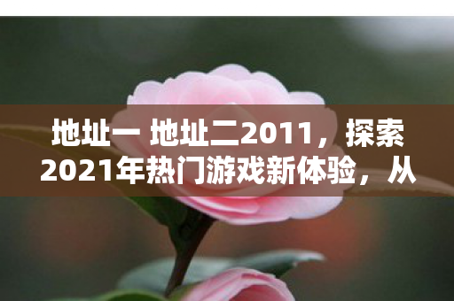 地址一 地址二2011，探索2021年热门游戏新体验，从地址一、地址二开启你的冒险之旅
