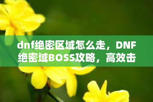 dnf绝密区域怎么走，DNF绝密域BOSS攻略，高效击败挑战