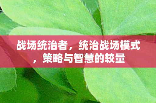 战场统治者,统治战场模式,策略与智慧的较量 战场统治者,统治战场模式,策略与智慧的较量