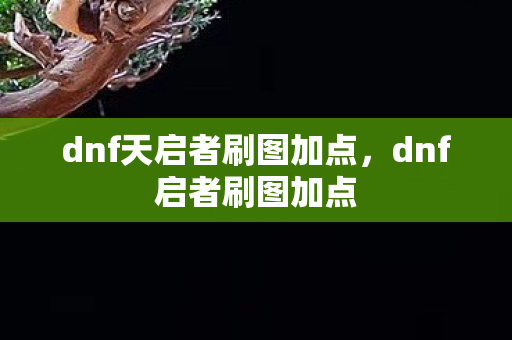 dnf天启者刷图加点,dnf启者刷图加点 dnf天启者刷图加点,dnf启者刷图加点