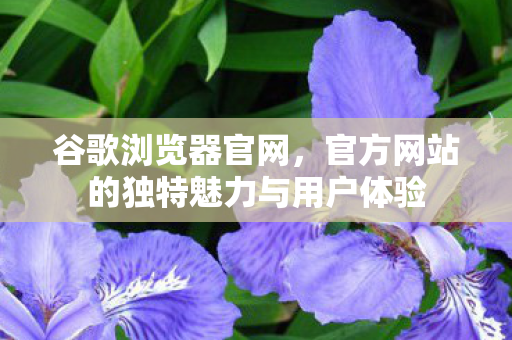 谷歌浏览器官网,官方网站的独特魅力与用户体验 谷歌浏览器官网,官方网站的独特魅力与用户体验