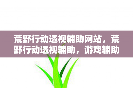 荒野行动透视辅助网站,荒野行动透视辅助,游戏辅助工具的正确使用与风险规避 荒野行动透视辅助网站,荒野行动透视辅助,游戏辅助工具的正确使用与风险规避