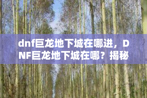 dnf巨龙地下城在哪进，DNF巨龙地下城在哪？揭秘游戏内的神秘之地