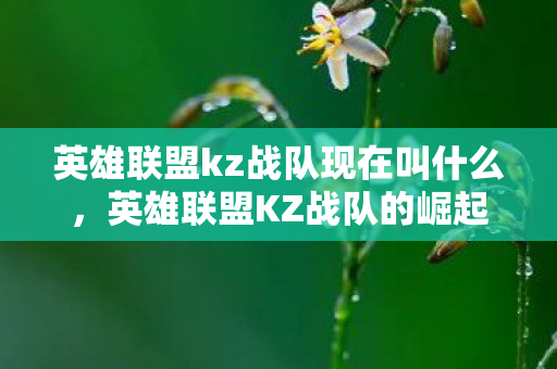 英雄联盟kz战队现在叫什么,英雄联盟KZ战队的崛起与战术解析 英雄联盟kz战队现在叫什么,英雄联盟KZ战队的崛起与战术解析