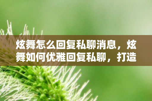 炫舞怎么回复私聊消息,炫舞如何优雅回复私聊,打造温馨互动氛围 炫舞怎么回复私聊消息,炫舞如何优雅回复私聊,打造温馨互动氛围