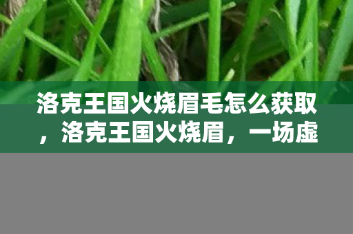 洛克王国火烧眉毛怎么获取，洛克王国火烧眉，一场虚拟王国的冒险与危机