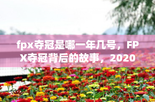 fpx夺冠是哪一年几号,FPX夺冠背后的故事,2020年的荣耀时刻 fpx夺冠是哪一年几号,FPX夺冠背后的故事,2020年的荣耀时刻