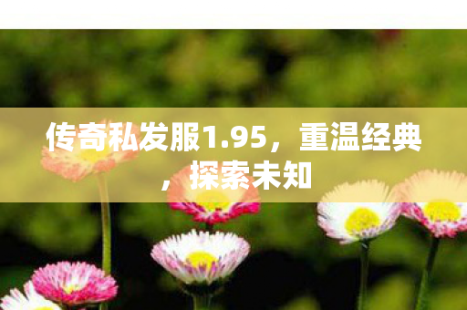传奇私发服1.95，重温经典，探索未知