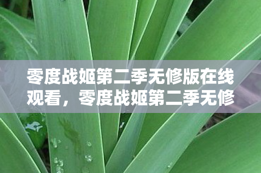 零度战姬第二季无修版在线观看，零度战姬第二季无修版，热血与激情的再度碰撞