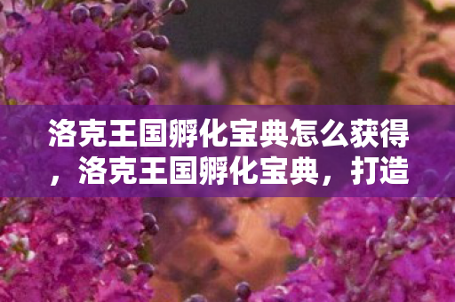 洛克王国孵化宝典怎么获得，洛克王国孵化宝典，打造属于你的神奇宠物王国