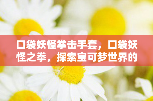 口袋妖怪拳击手套，口袋妖怪之拳，探索宝可梦世界的战斗艺术