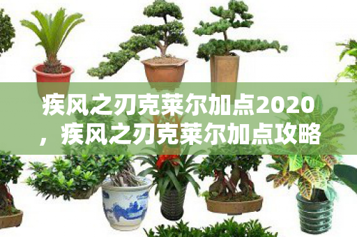 疾风之刃克莱尔加点2020,疾风之刃克莱尔加点攻略,打造最强输出角色 疾风之刃克莱尔加点2020,疾风之刃克莱尔加点攻略,打造最强输出角色