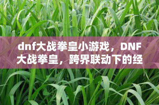 dnf大战拳皇小游戏,DNF大战拳皇,跨界联动下的经典对决 dnf大战拳皇小游戏,DNF大战拳皇,跨界联动下的经典对决